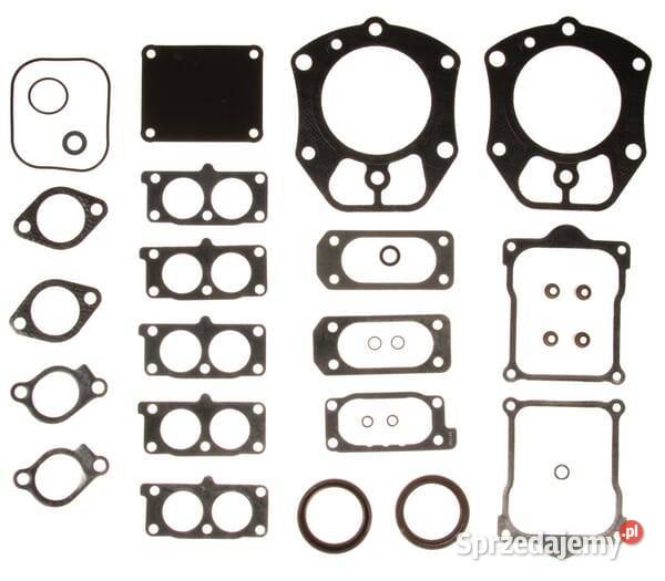 Zestaw uszczelek 841122 Kamionna