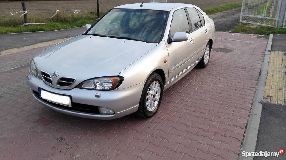 Nissan Primera P11 2001r. Tychy Sprzedajemy.pl