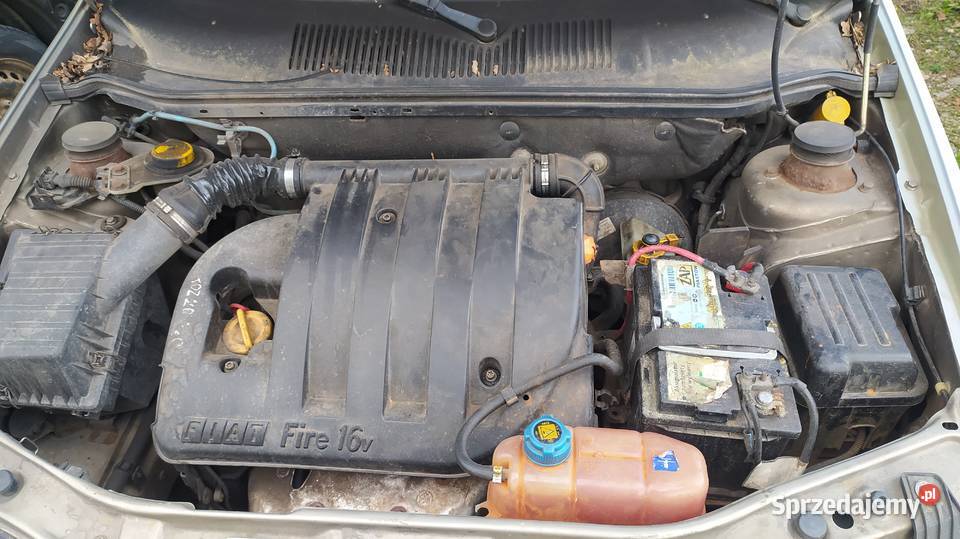 Fiat Albea 12 16V 2003r na części Szklarka Myślniewska
