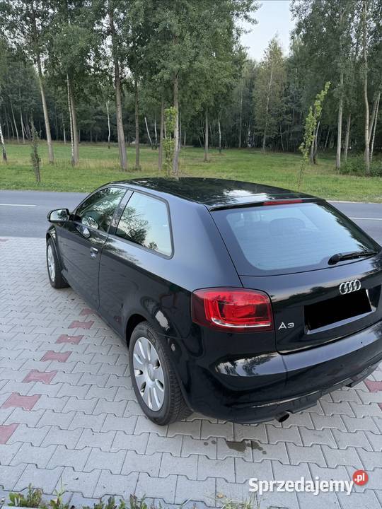 Audi a3 8p 16 TDI COMMON RAIL LIFT Orzesze