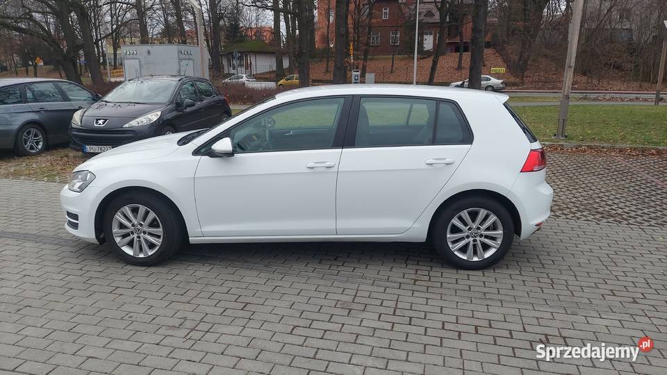 100Bezwypadkowy Tdi 110 Oryginalny lakier Puławy