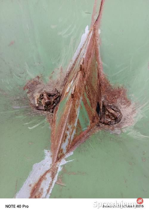 Rozsiewacz amazone zae 602