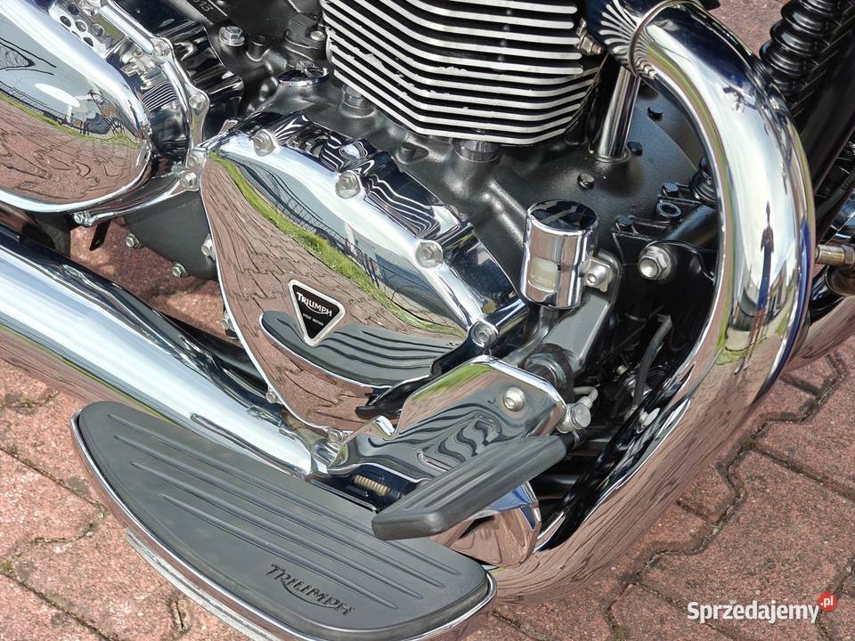 Triumph America małopolskie Libiąż