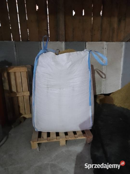 Owies do palenia Koziarnia