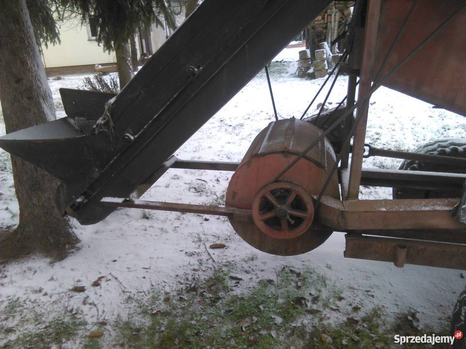 Ogórczarka Mołodiatycze