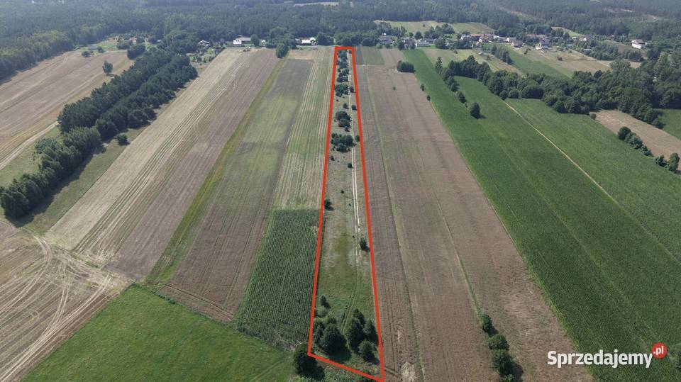 DZIAŁKA ROLNO BUDOWLANA 13500m 121500 Mrowiczna