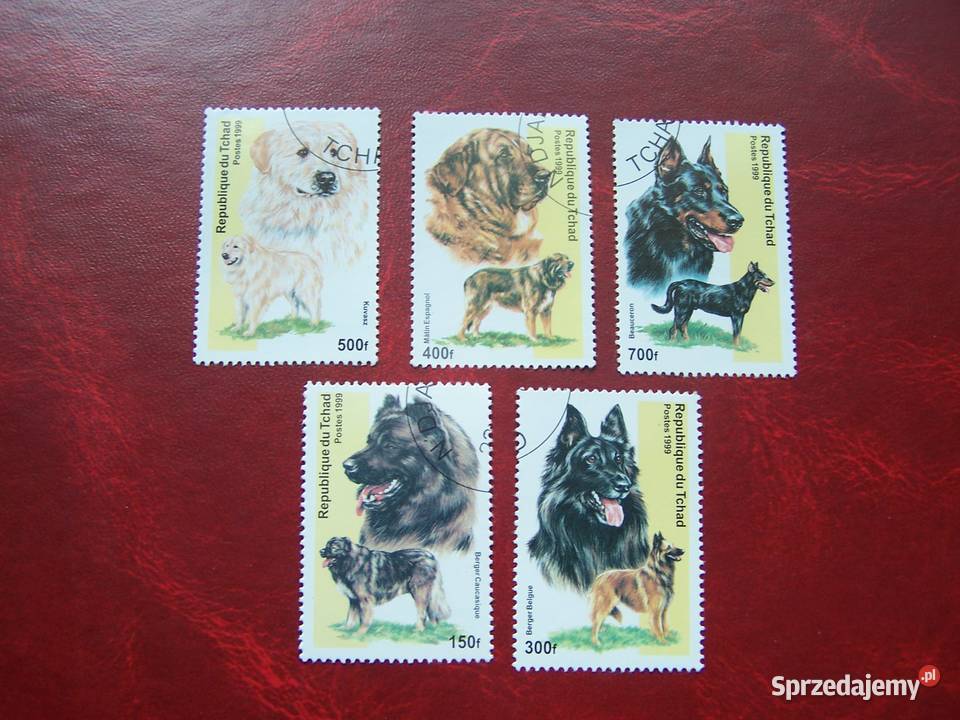Czad 1989 CTO Fauna Psy Tychy sprzedam