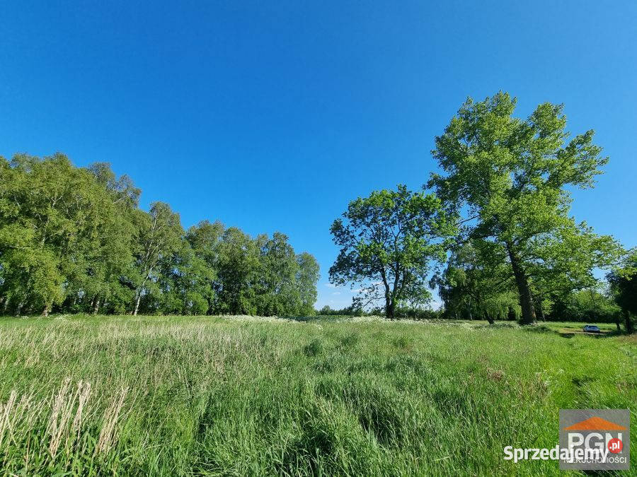 Działka Strzeżewo 14112m2 sprzedam