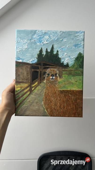 Obraz olejny 2430 Alpaka Świebodzin