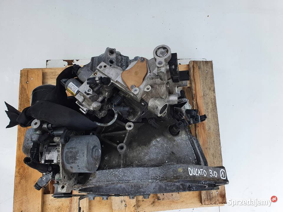 Fiat Ducato 30 JTD MJ SKRZYNIA BIEGÓW manualna Skrzynie biegów manualne Chełm