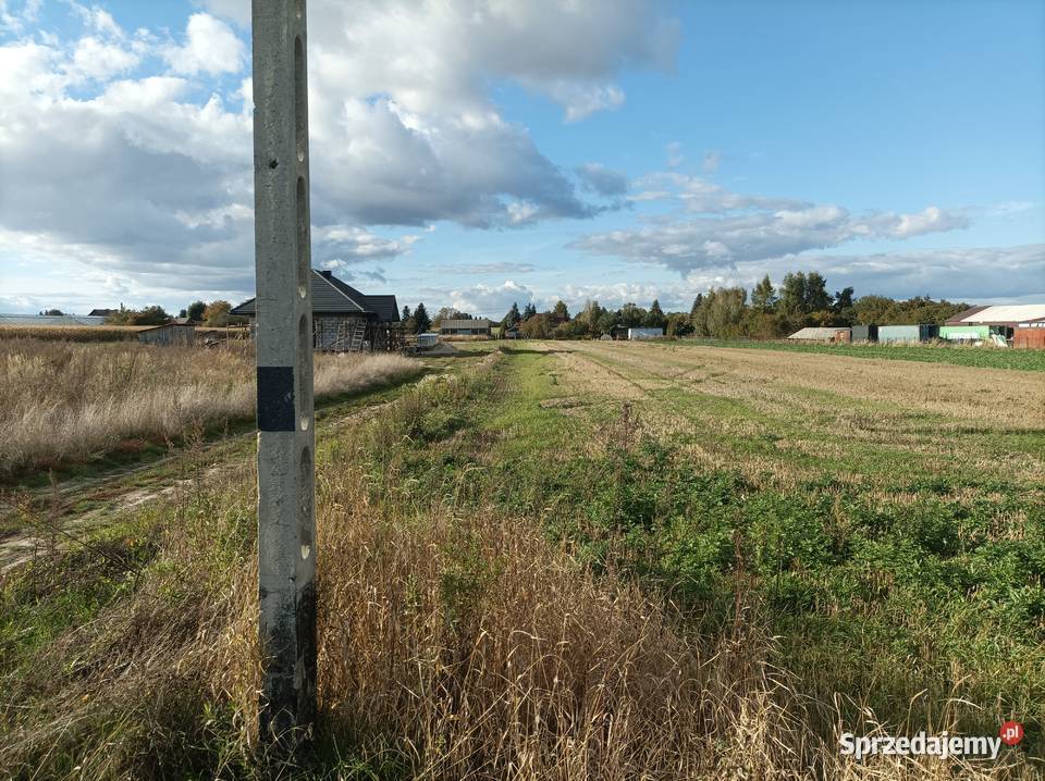 Działki budowlane 110zł/m2 Sprzedaż Płoskie