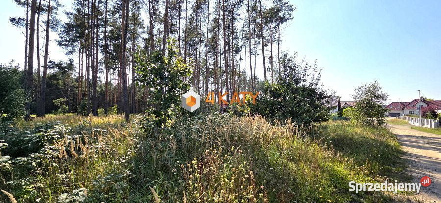 Grunt Zielona Góra 744 metry Sprzedaż