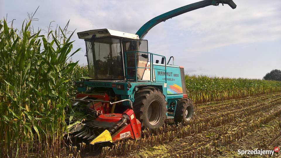 MENGELE MAMMUT 6800 KEMPER 4500 nieuszkodzony Mońki