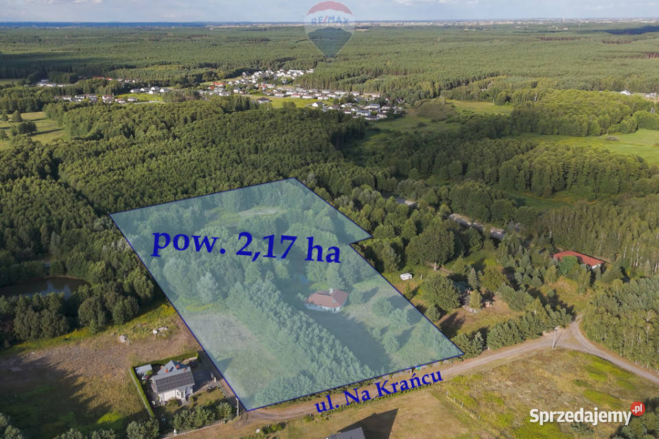 Dom z wyspą pod Toruniem Obory taras
