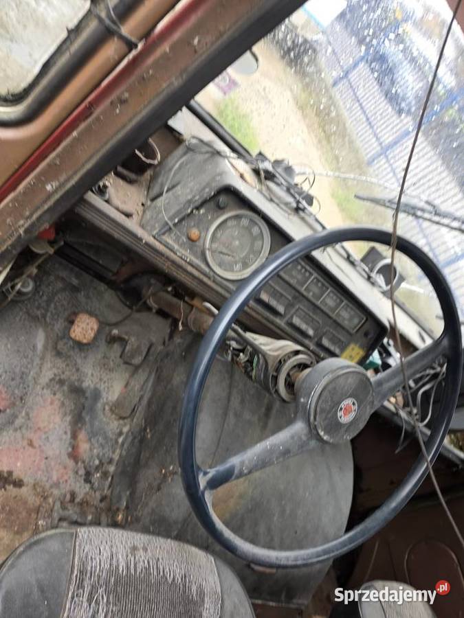 Żuk zlombolowy trzeba uratować Skwierzyna