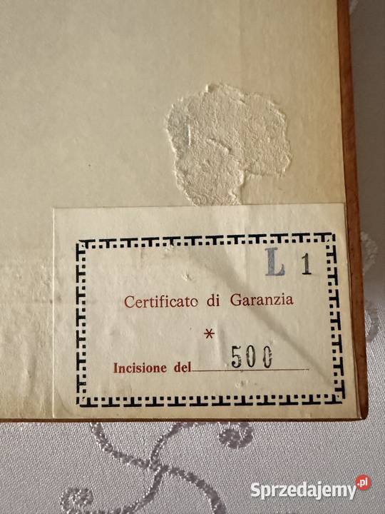 Antyczny Miedzioryt 1563 Rycina Botaniczna sprzedam