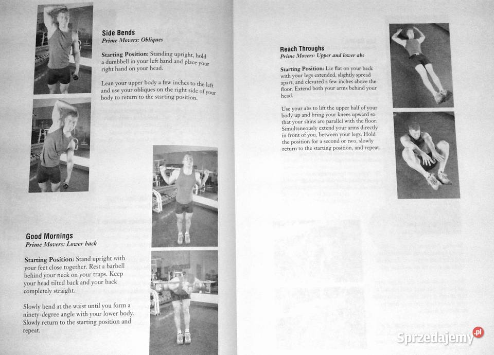 The Ultimate Guide to Weight Training for Boxing