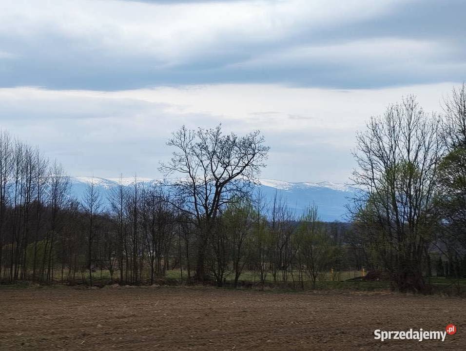 Działka budowlana z widokiem na góry Sosnówka