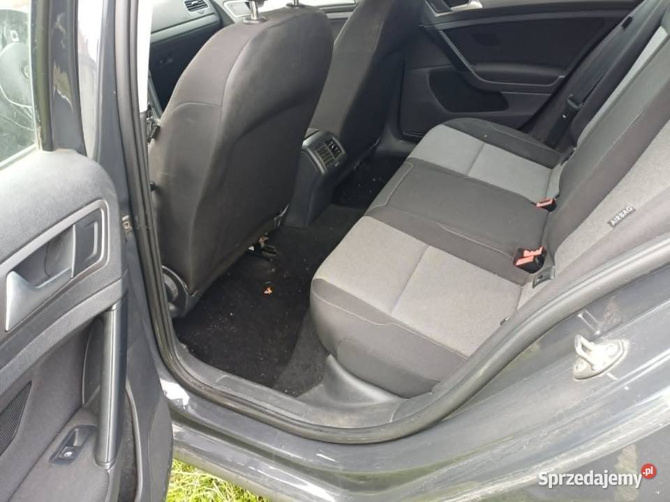 Volkswagen Golf 16 TDI 110 manualna Pacyna