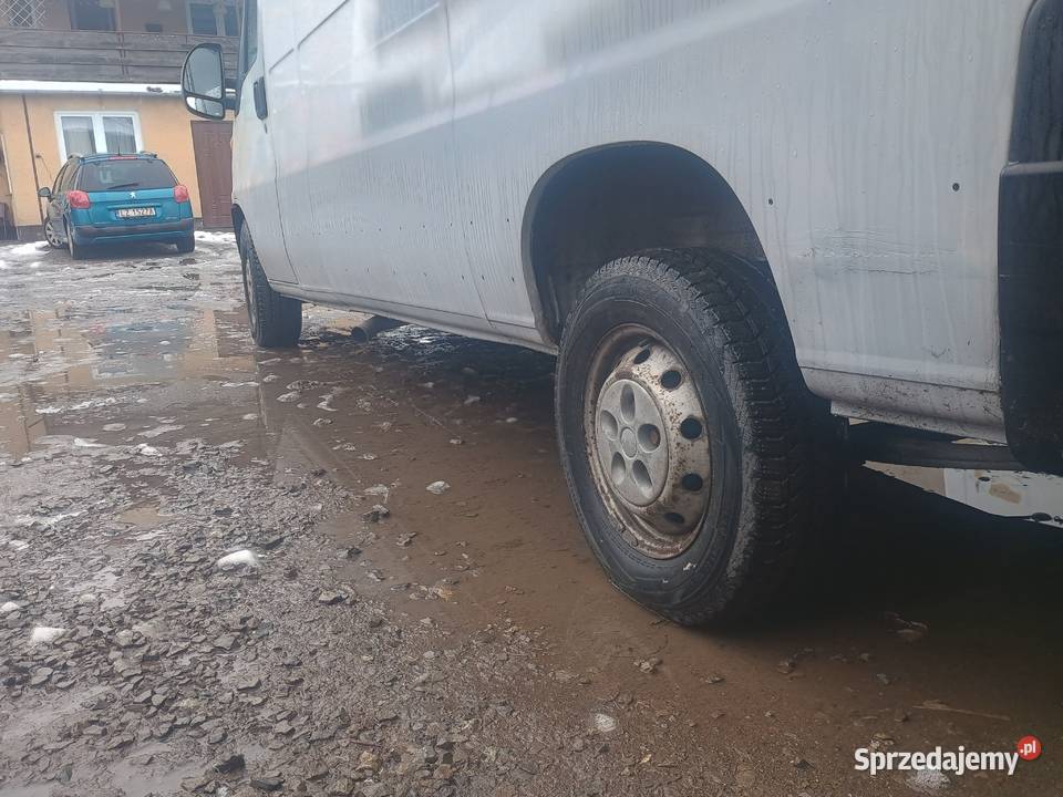 Fiat Ducato 28 Samochody dostawcze Bełżyce