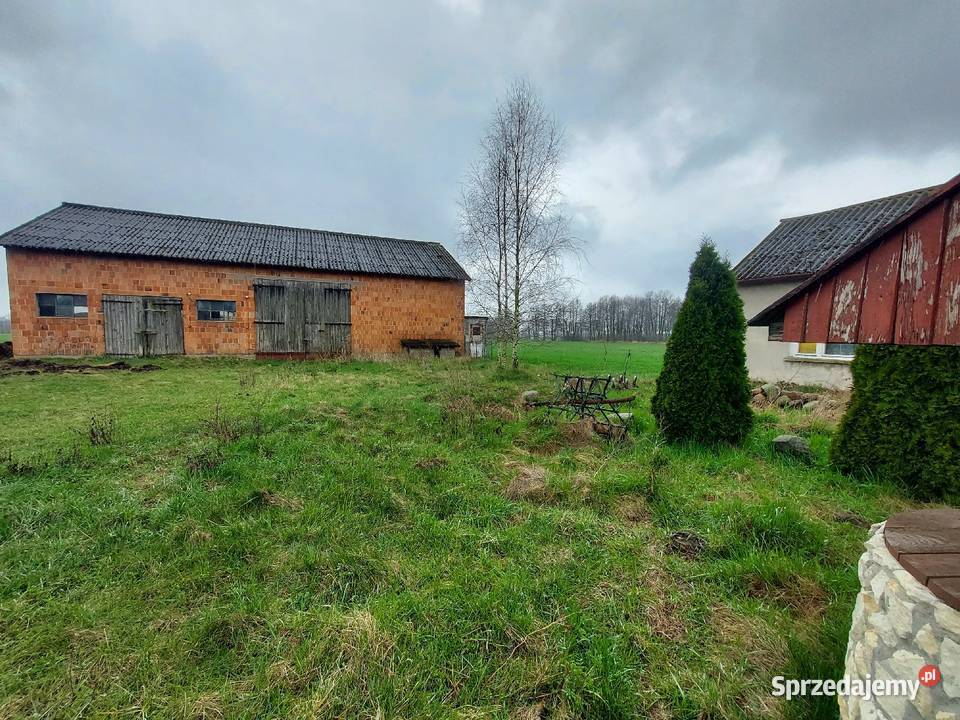 Sprzedam Gospodarstwo Stodoła Domek Ziemia parterowy wielkopolskie Żdżary