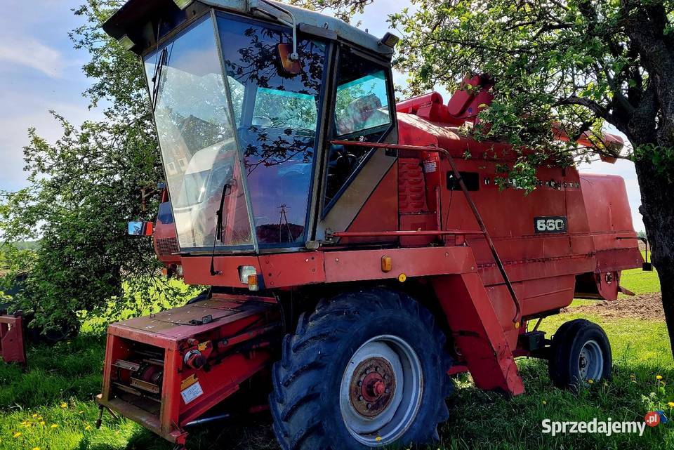 Kombajn Massey Ferguson 560 mazowieckie Trojanów