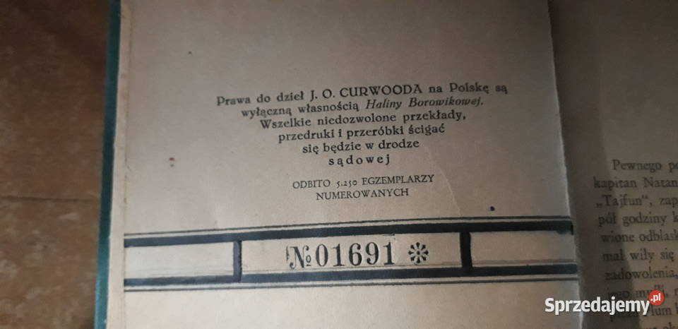 JOCURWOŚRÓD MORMONÓW 1929opr pierwodruk No01691 Iwno sprzedam