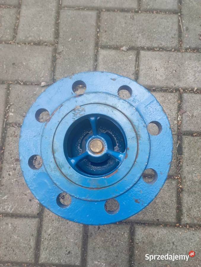 Zawór zwrotny żeliwny z filtrem din 80 Psary