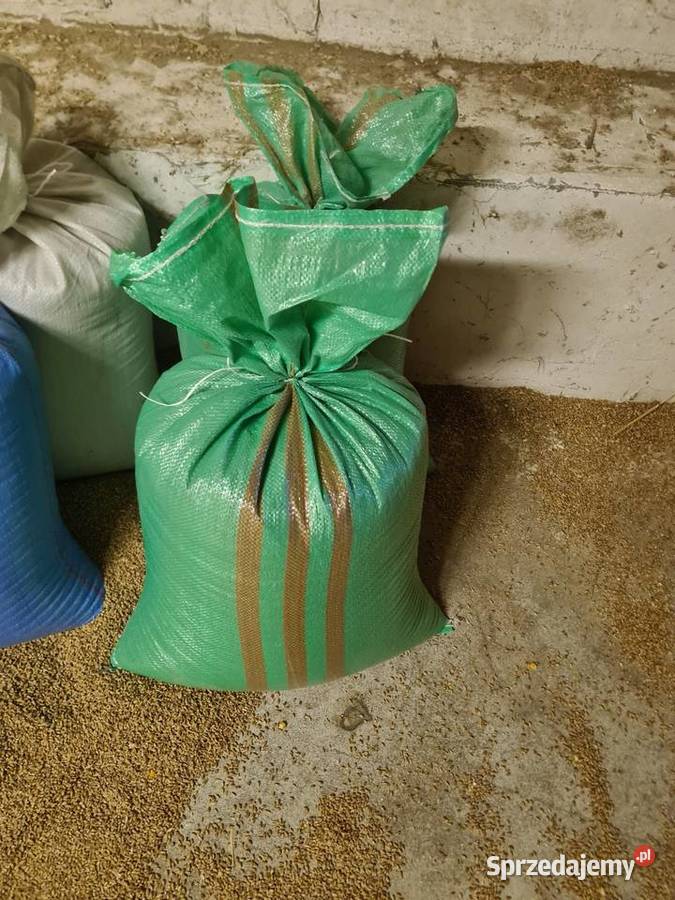 Pszenica Pszenżyto Żyto worki 25 Antoninek