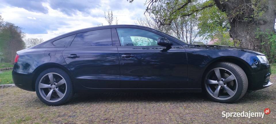 BLACK A5 SPORTBACK 20 TDI 190 BIXENON RADAR 2 Suchy Dąb sprzedam