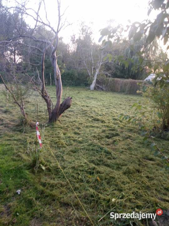 Działka ROD Słonecznik woda prąd i zielona lubelskie Lublin sprzedam