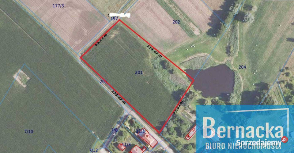 Działka rolna w Prężycach Prężyce