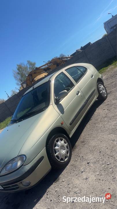 Renault Megane Żary