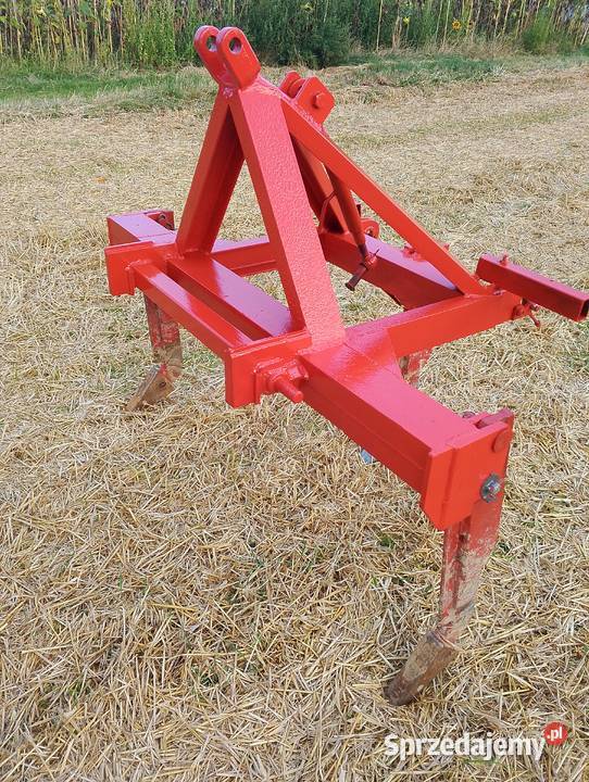 Głębosz 3 zęby Głębosze Stryjno Pierwsze