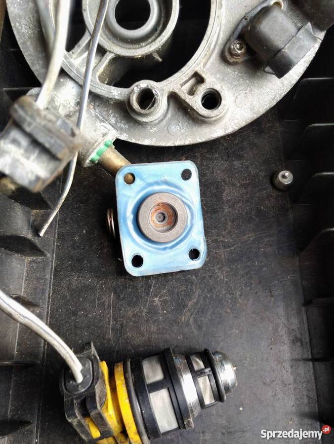 Renault Solec mono wtrysk rozpylacz dysza osobowe Aleksandrów Łódzki