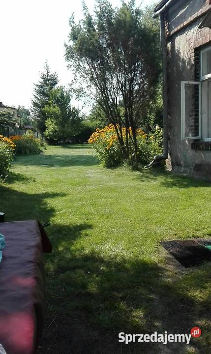 Sprzedam dom do remontu Olsztyn