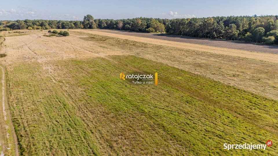 Grunt na sprzedaż Władysławowo Szkolna 2000m2 Sprzedaż