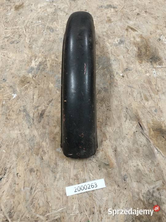 Komar błotnik przedni Pozostałe małopolskie Rozkochów