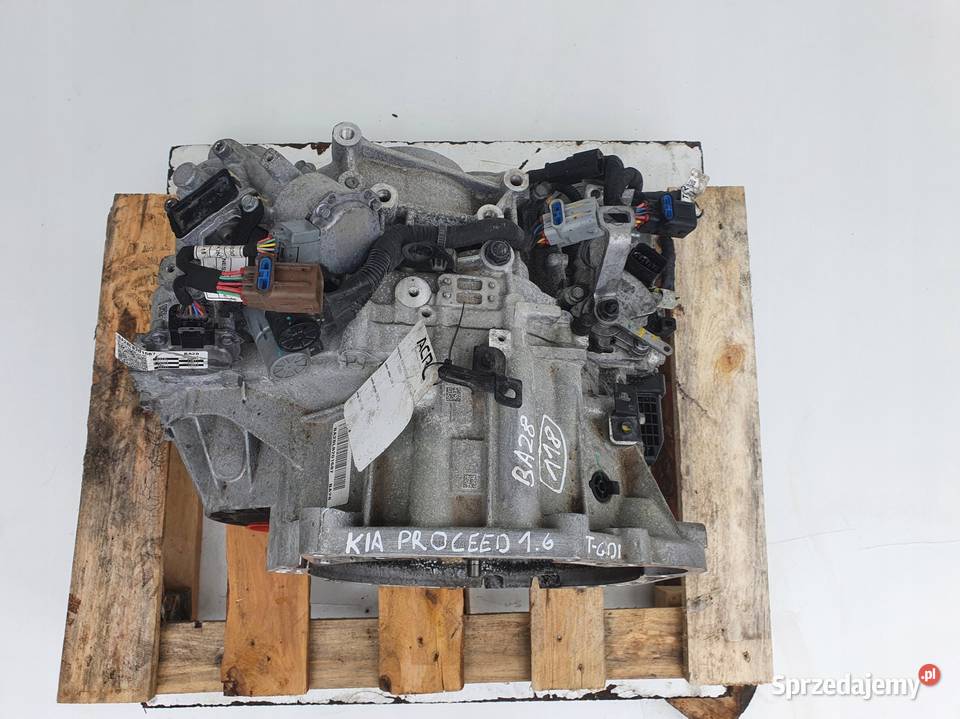 Kia Ceed Ceed III 16 TGDI T TURBO AUTOMATYCZNA lubelskie Janów