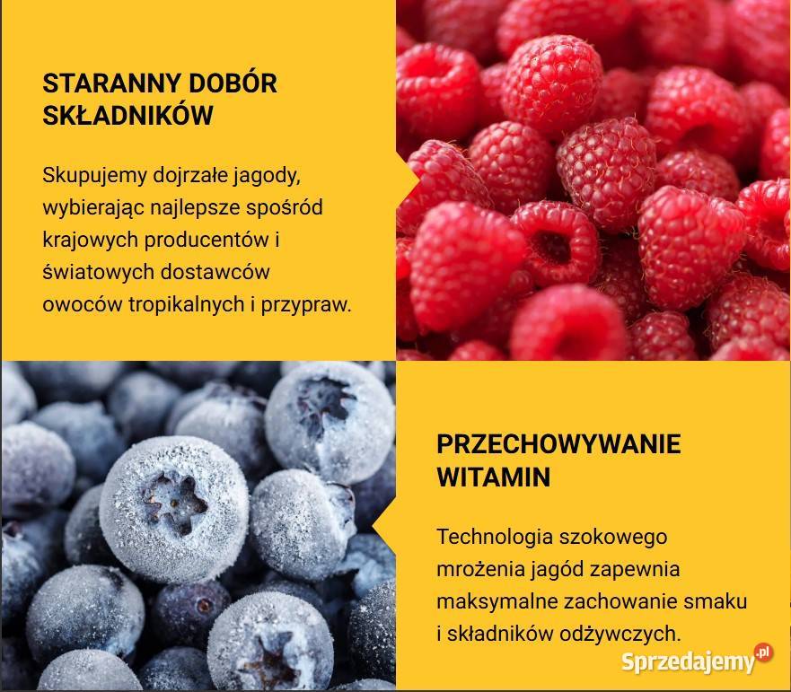 Herbata owocowa Yogoda Malina bez cukru Box 14 świętokrzyskie