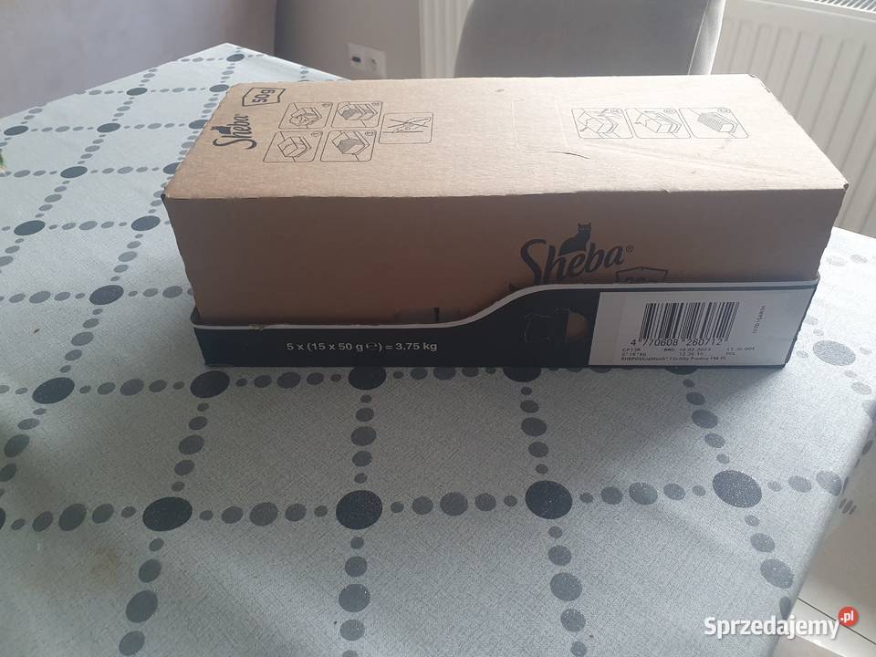 Karma kota Sheba Pogorzela