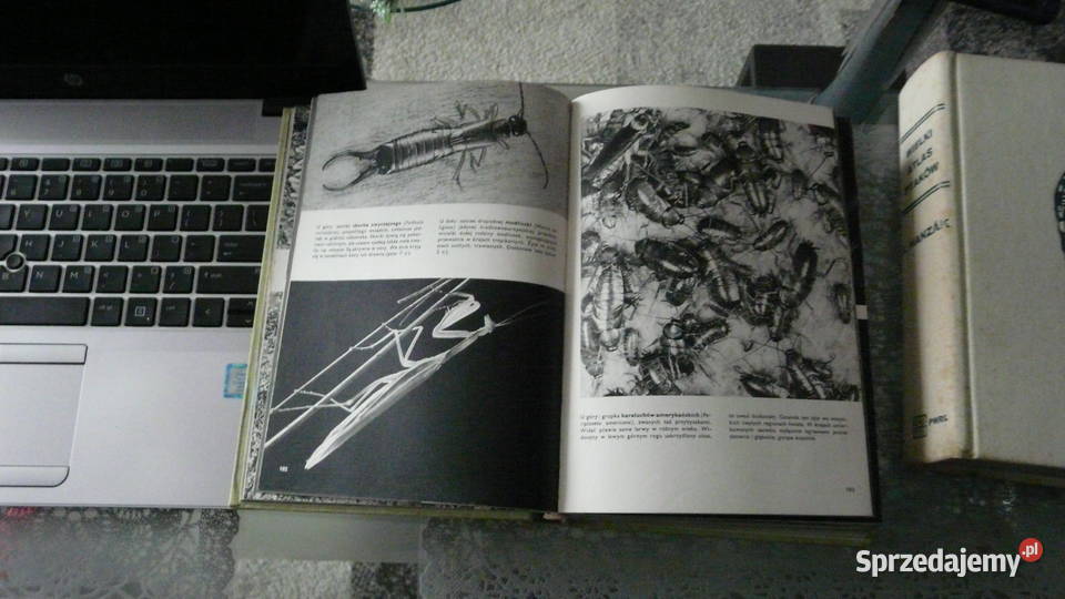 Wielki Atlas Zwierząt VJStanek Wolsztyn