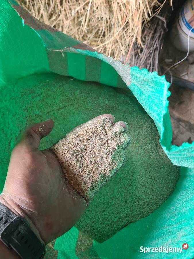 Śruta z pszenicypszenżyta 50 wielkopolskie Antoninek sprzedam