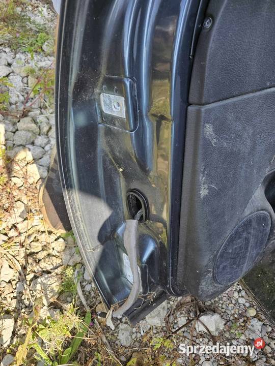 Drzwi Volkswagen Bora Łagów