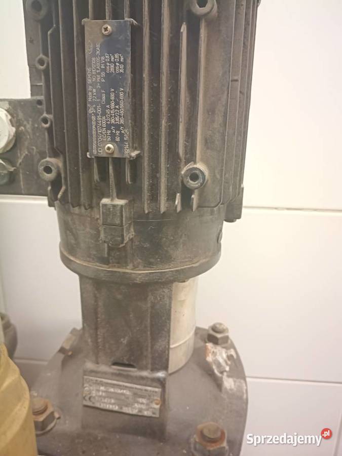 Pompa pionowa LFP Leszno typ 40 4 sztuki silnik