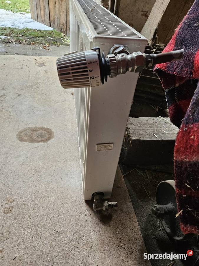 grzejnik Kermi z termostatem 140x50 Nowe Budkowice