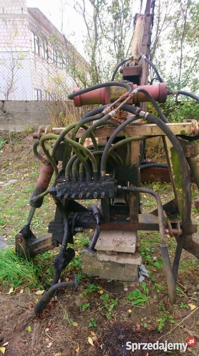 Pelikan w całości na części nieuszkodzony