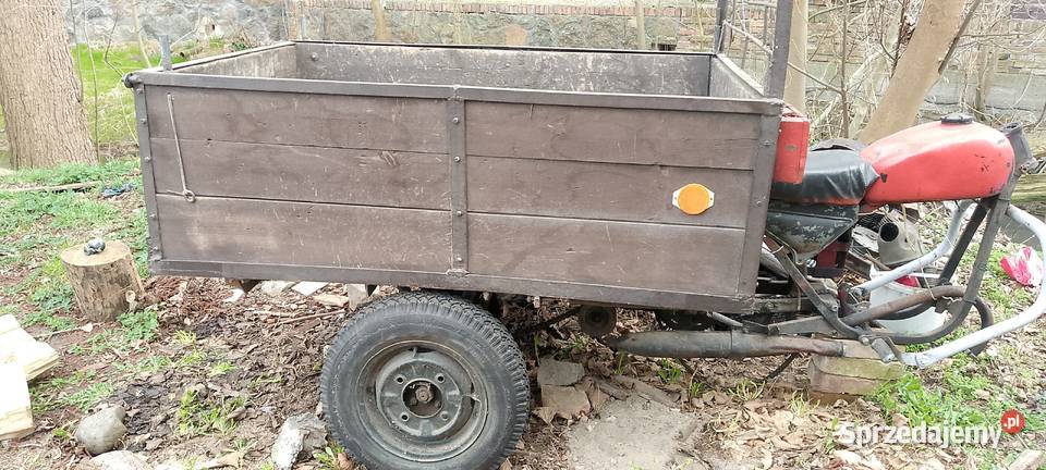 wsk 125 dzik rama Międzychód