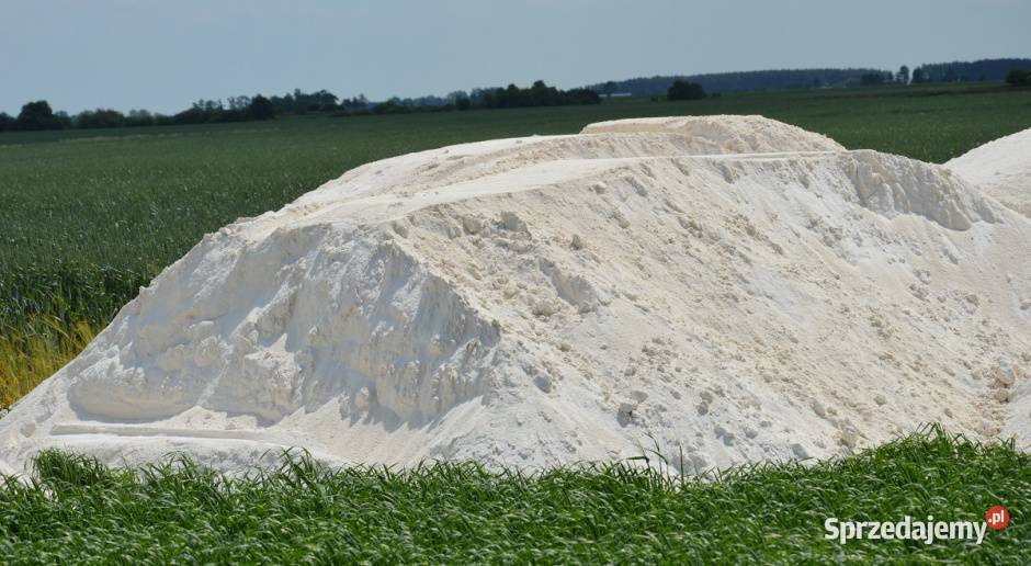 Wapno Nawozowe Magnezowe i Węglanowe pomorskie Pruszcz Gdański