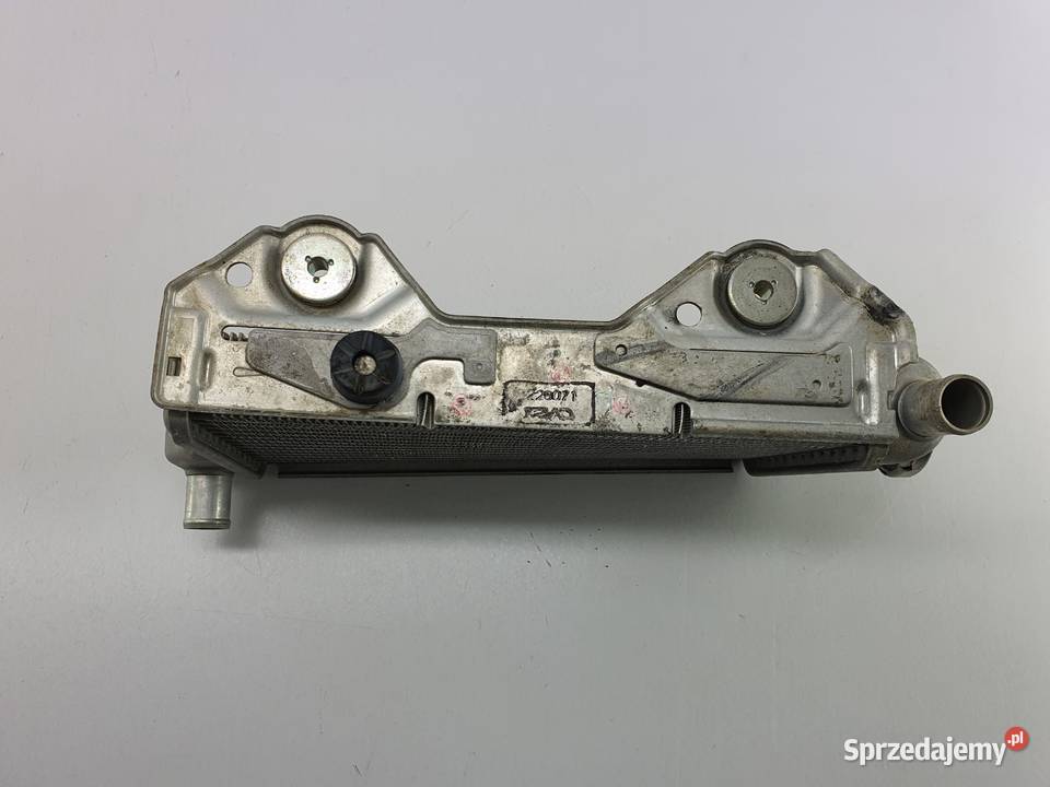 Chlodnica Prawa Korek Suzuki Rmz 450 1823 Łódź